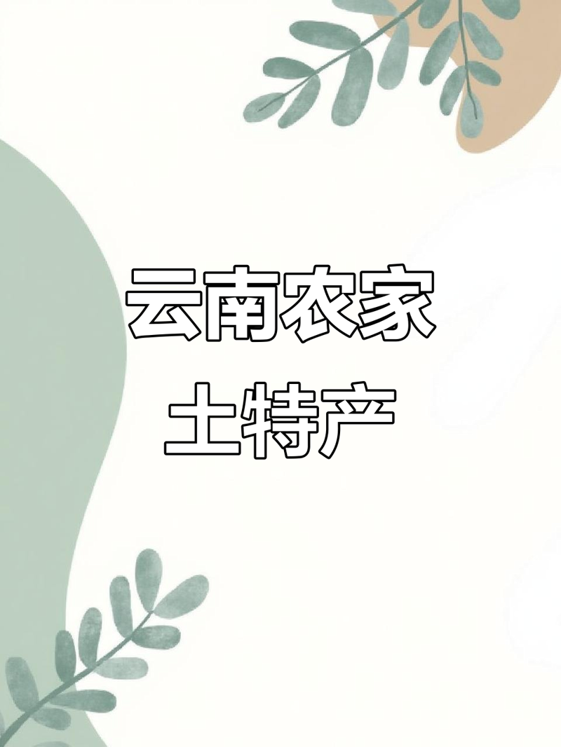 如何轻松掌握日用百货批发的秘密?